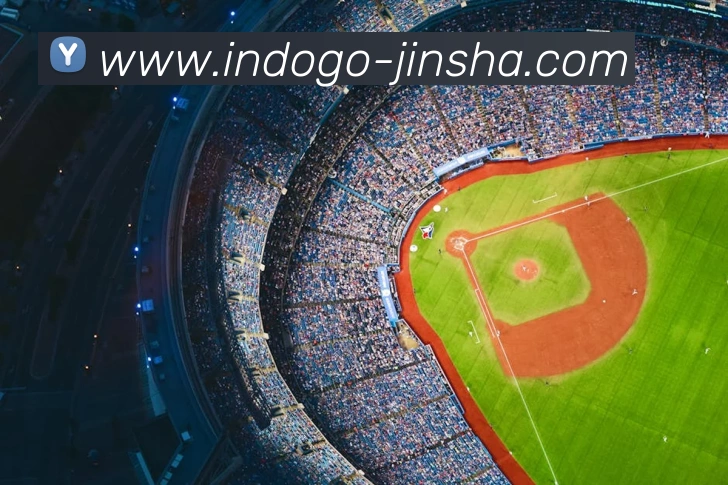 App Interface Preview